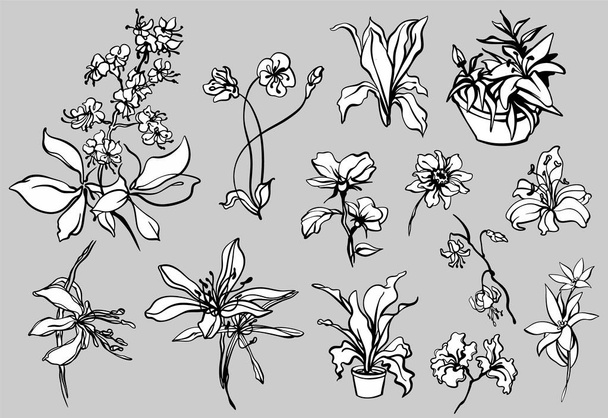 Collection de fleurs stylisées linéaires, lis, orchidées, pots de fleurs, noir et blanc et isolé, pour une impression et un design personnalisés. - Vecteur, image