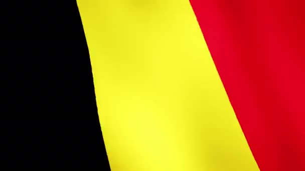 België vlag zwaaien, Een vlag animatie achtergrond. Realistisch België vlag zwaaiend in wind video beelden.   - Video
