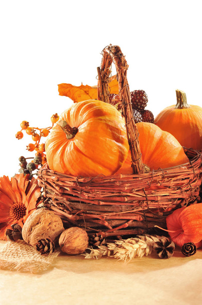 erntedankfest - various pumpkins in rattankorb in front of white background\n - Photo, Image