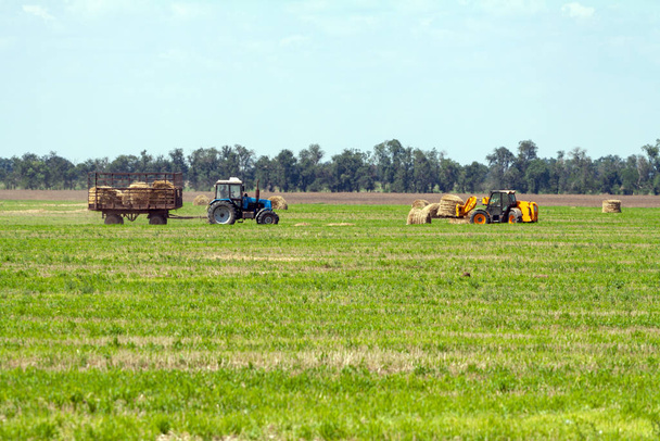 Тракторная погрузка тюков сена на грузовые сельскохозяйственные работы
 - Фото, изображение