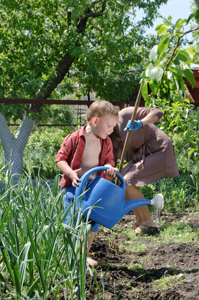 Маленький хлопчик допомагає мамі поливати овочевий сад
 - Фото, зображення