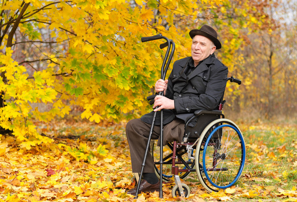 Glückliche gehbehinderte Senioren genießen die Herbstsonne - Foto, Bild