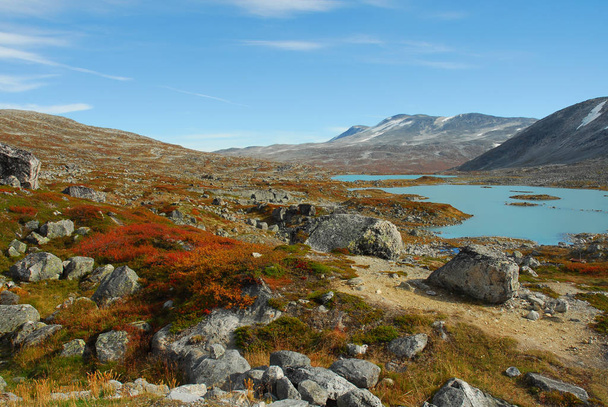 Norway on nature landscape background - Photo, image