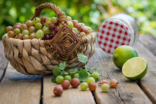 freshly harvested gooseberries in a basket - Фото, изображение