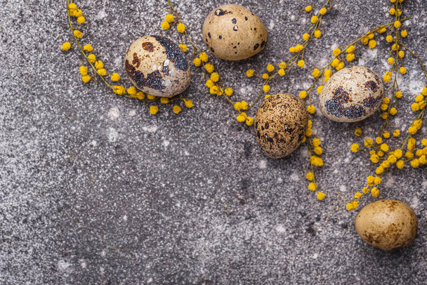 Quail eggs and mimosa flowers - Foto, Imagen