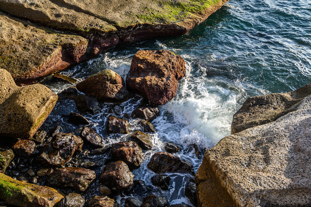 Surffailla Atlantin valtameren ja kivinen rannikolla saarella. Teneriffa, Kanariansaaret, Espanja
 - Valokuva, kuva