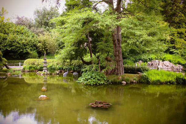 japanese tea garden in san francisco - Valokuva, kuva