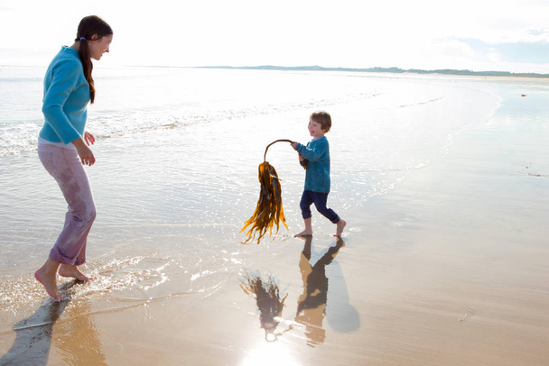 Little boy chasing his mother on the beach with a piece of seaweed. - Foto, imagen