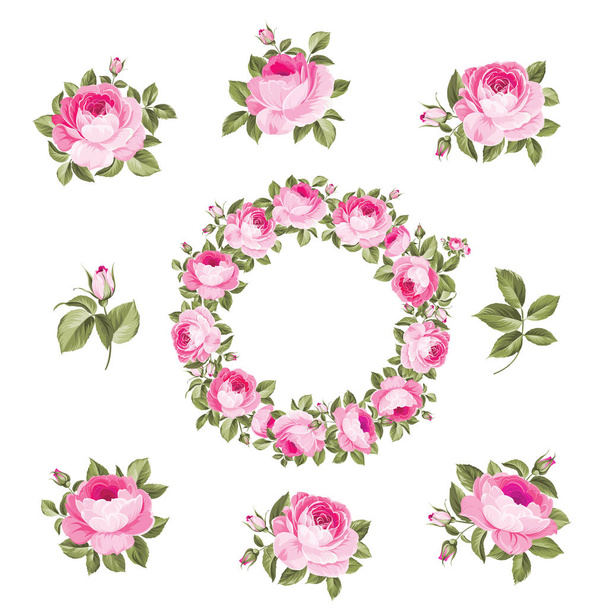 Vintage flowers set over white background. Wedding rose flowers bundle. Flower collection of watercolor detailed hand drawn roses. Vector set of blooming flowers for your design. - Vector, Image