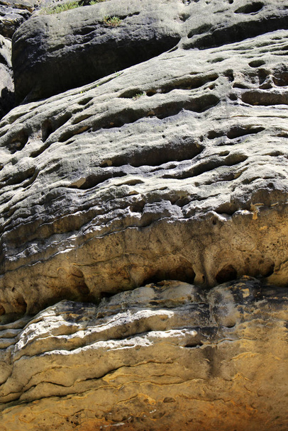 sandstone - saxon switzerland (elbsandsteingebirge) - Foto, afbeelding