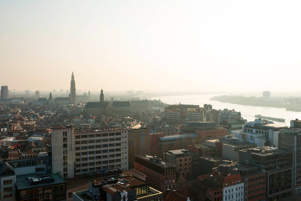 View over skyline of Antwerp, Belgium - Фото, изображение