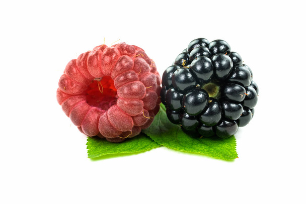 blackberry and raspberry,close-up of berry fruit on white background - Foto, Imagem