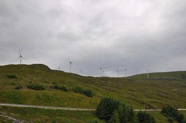 wind turbines, alternative wind energy - Zdjęcie, obraz
