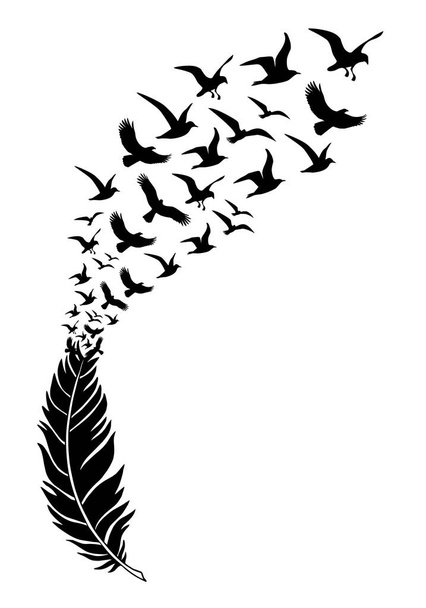 feathers with free flying birds, vector illustration for a wall tattoo - Фото, зображення