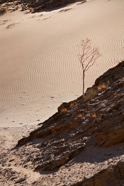 scenic view of dunes, selective focus - Fotó, kép