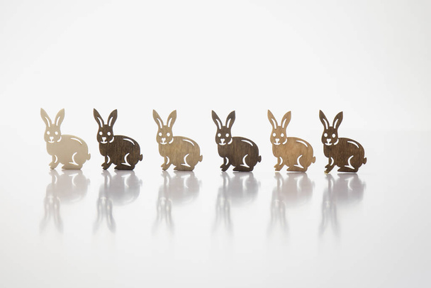six rabbits from wood in a row with reflection - 写真・画像