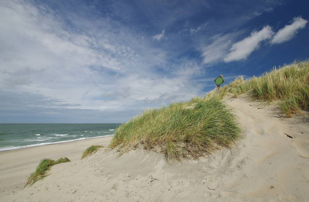 dunes and north sea at nieuw haamstede,schouwen duiveland,southern netherlands - Fotoğraf, Görsel