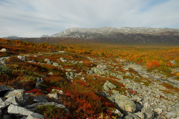 Norway on nature landscape background - Fotó, kép