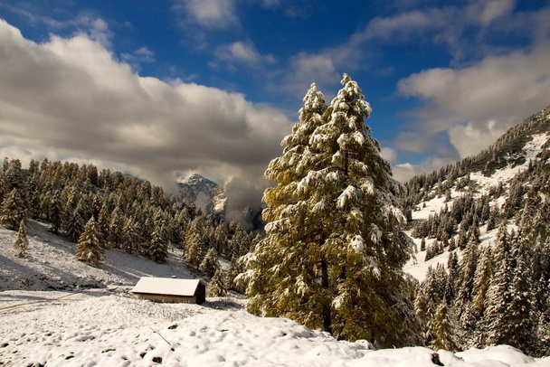 winter in the mountains - Foto, afbeelding