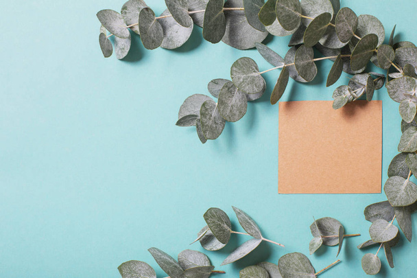 eucalyptus leaves and craft card  on blue paper background  - Фото, изображение