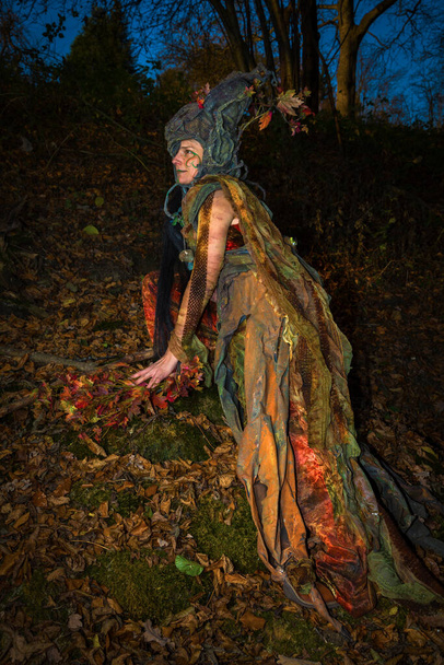 woman as waldfee clad in forest - Фото, зображення