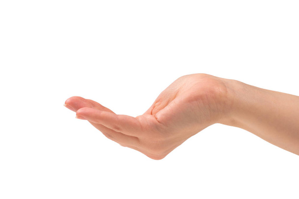 Γυναίκα χέρια που θέλουν ή ζητούν κάτι - Φωτογραφία, εικόνα