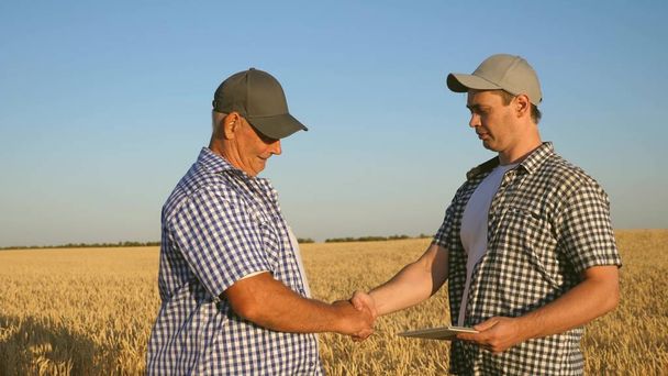 liikemies tarkistaa viljan laadun. viljelijä ja liikemies, jolla on tabletti, työskentelee tiiminä kentällä. agronomi ja maanviljelijä pitelevät vehnänjyviä käsissään. liikemiehet kätellä
 - Valokuva, kuva