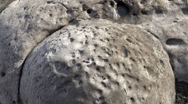 Plaats - Rusland, de Republiek Adygea. District van de Ammonite Valley. De grootste accumulatie van artefacten uit de oude oceaan van Tethys - Foto, afbeelding