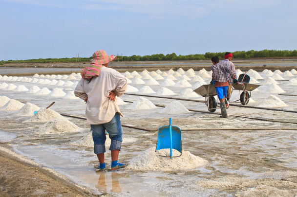 Salted worker in Thailand - Photo, Image