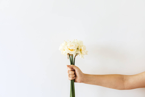 Жіноча рука тримає букет з нарцисів на білому тлі. Плоский шар, вигляд зверху мінімальна квіткова композиція
. - Фото, зображення