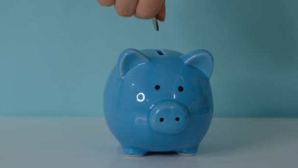 piggy bank business concept. A hand is putting a coin in a piggy bank on a blue background. saving money is an investment for lifestyle the future. Banking investment. - Footage, Video