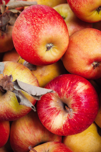 ώριμα και ζουμερά κόκκινα μήλα - Φωτογραφία, εικόνα