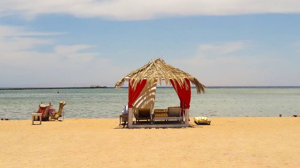 Barracas de palha luxuosas em estilo árabe no Mar Vermelho e camelo no resort egípcio de Sharm El Sheikh. Conceito de praia de verão, design para relaxamento e tranquilidade
. - Foto, Imagem