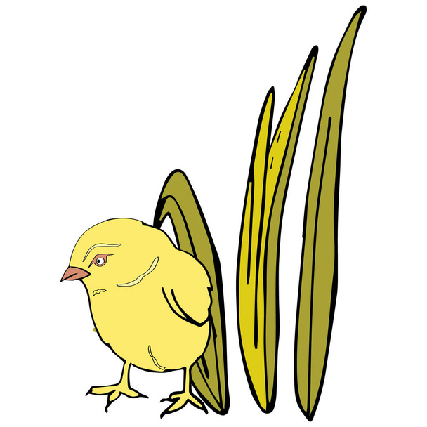 Kip met groen gras. Naadloze lente of Pasen achtergrond patroon met schattige kleine kippen in geel tegen de achtergrond. Voor kaarten, tags, textiel, behang, cadeaupapier. - Vector, afbeelding