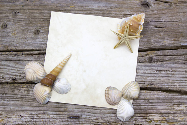 blank paper on wooden background with seashells - Foto, Bild