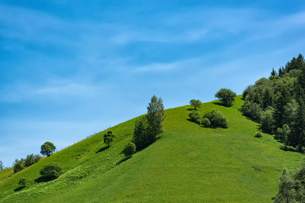 Colina verde no fundo do céu azul. Ecoturismo recreação, campo
 - Foto, Imagem