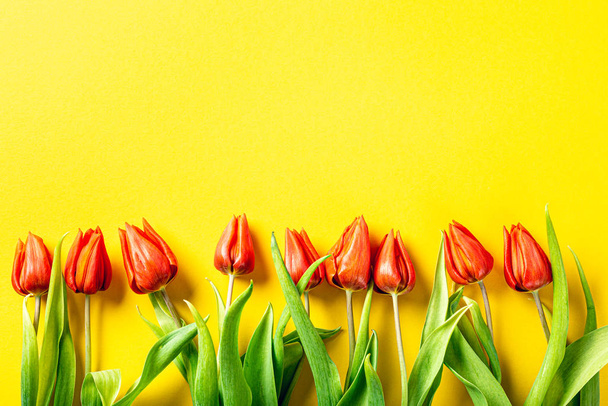 Narancs tulipán sárga háttér - Fotó, kép