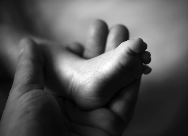 close up of baby feet in the hands of father - Foto, imagen