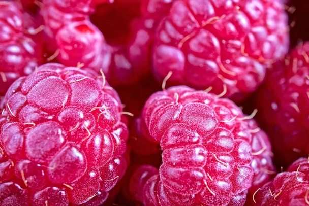 a few raspberries - macro shot - Foto, imagen