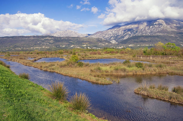 Prachtig wetland landschap. Uitzicht op Tivat Salina (Tivatska Solila) op zonnige lentedag. Montenegro, Tivat - Foto, afbeelding