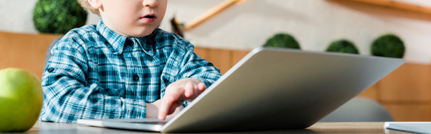 panoramiczne ujęcie inteligentnego i kręconego dzieciaka korzystającego z laptopa  - Zdjęcie, obraz