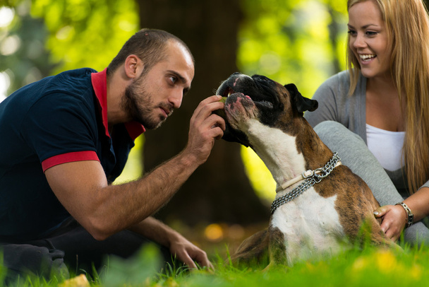 Couple Playing With Dog - Valokuva, kuva