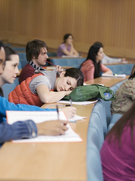 sleeping Teenage Student - Фото, зображення