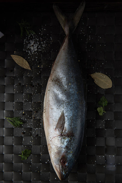 raw tuna fish with salt and spices on black background - Valokuva, kuva