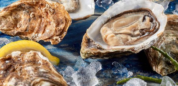 Fresh opened uncooked marine oyster still in the shell on a bed of crushed ice with asparagus and other oysters for a gourmet starter or appetizer - Fotoğraf, Görsel
