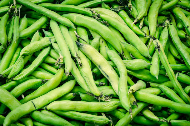 Des gousses de fèves ou de féveroles biologiques exposées au marché fermier de Washington, aux États-Unis
 - Photo, image
