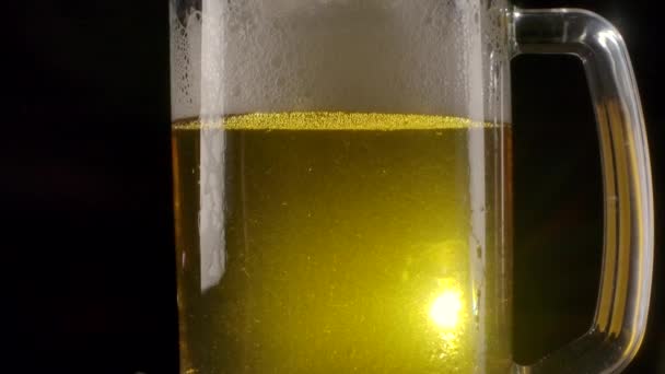 Bière dorée pétillante dans une tasse
. - Séquence, vidéo