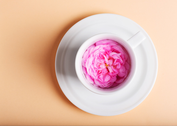 rose dans une tasse de café
 - Photo, image
