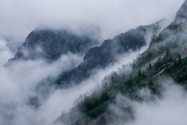 Nevoeiro nas montanhas durante o dia
 - Foto, Imagem