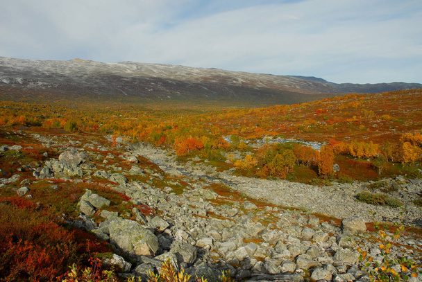 Norway on nature landscape background - Zdjęcie, obraz